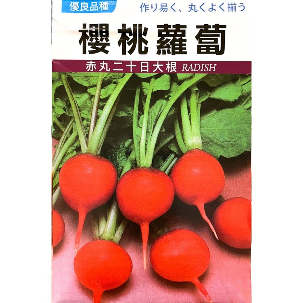櫻桃蘿蔔種子｜開心農場｜日常好菜｜居家種植｜蔬菜專業戶｜蔬菜種子｜園藝 ｜超高發芽率｜-細節圖2
