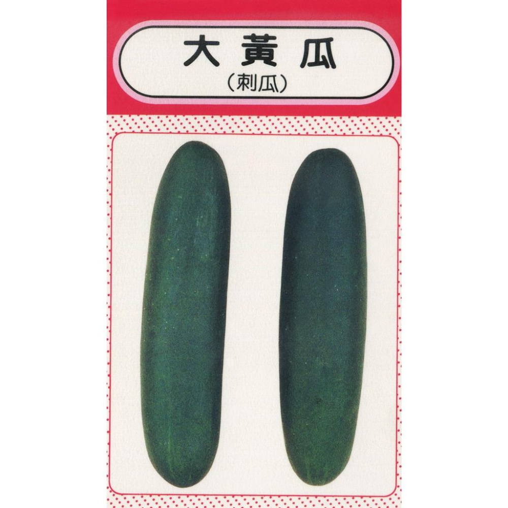 大黃瓜種子｜刺瓜｜深色皮｜脆口｜小規模種植｜蔬菜專業戶｜蔬菜種子｜園藝 ｜都市農耕｜開心農場-細節圖2