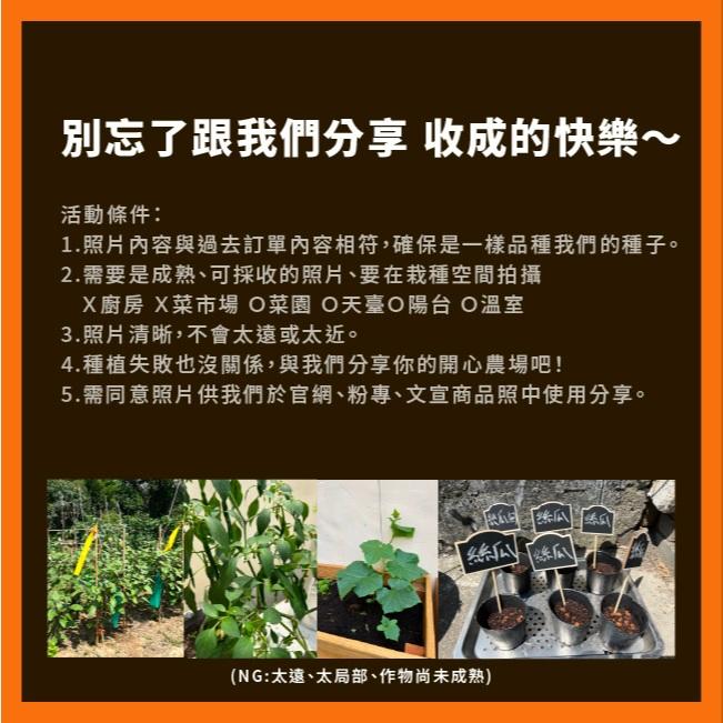 大黃瓜種子｜刺瓜｜深色皮｜脆口｜小規模種植｜蔬菜專業戶｜蔬菜種子｜園藝 ｜都市農耕｜開心農場-細節圖8
