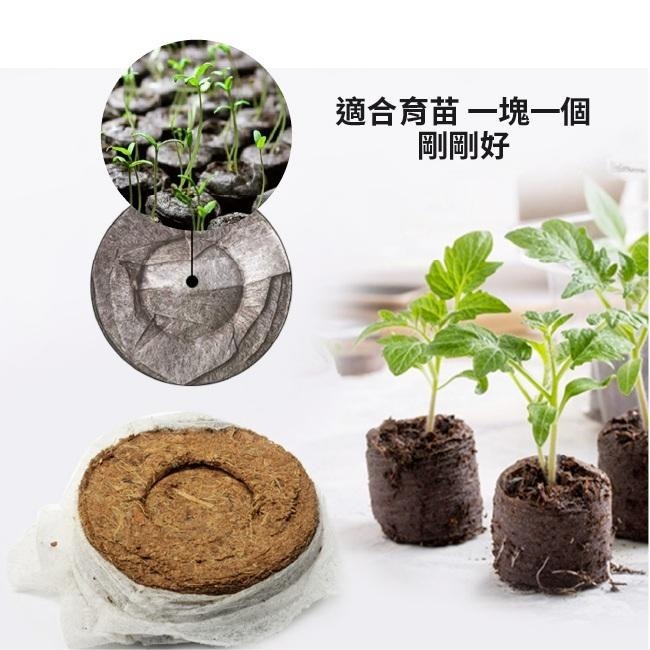 6入 壓縮育苗土｜方便好用｜便利栽種｜簡單使用｜兒童菜園｜國小教學課程｜簡易菜園器材｜-細節圖4