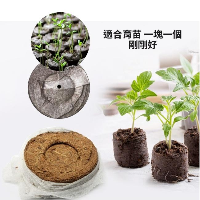 6入 壓縮育苗土｜方便好用｜便利栽種｜簡單使用｜兒童菜園｜國小教學課程｜簡易菜園器材｜-細節圖4
