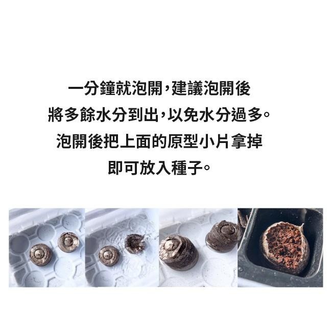 6入 壓縮育苗土｜方便好用｜便利栽種｜簡單使用｜兒童菜園｜國小教學課程｜簡易菜園器材｜-細節圖5