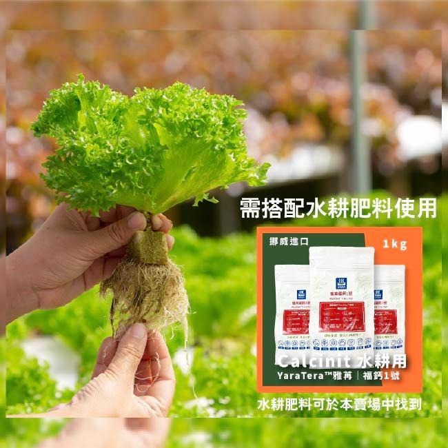 水耕海綿🔥 兩顆一元｜定植棉｜蔬菜｜生菜種植｜無土｜開心農場｜水耕海綿｜無土栽培｜園藝｜基質棉｜育苗棉｜育苗用｜-細節圖3