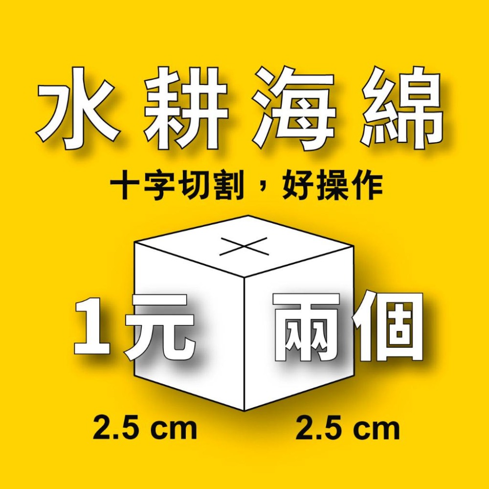 水耕海綿🔥 兩顆一元｜定植棉｜蔬菜｜生菜種植｜無土｜開心農場｜水耕海綿｜無土栽培｜園藝｜基質棉｜育苗棉｜育苗用｜-細節圖8