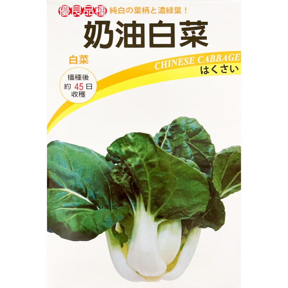 奶油白菜種子｜45天可採｜秋冬種植｜蔬菜專業戶｜蔬菜種子｜園藝 ｜超高發芽率｜小規模種植｜開心農場｜-細節圖2