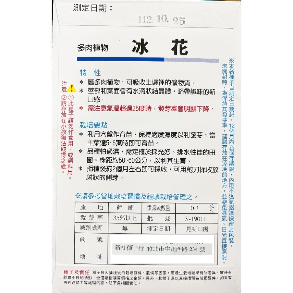 需預購）冰花種子｜多肉植物｜高級料理｜專業種植｜冰花沙拉-細節圖3