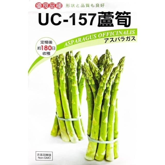 蘆筍種子｜蘆筍苗｜美國蘆筍｜開心農場｜蔬菜專業戶｜都市小農｜休閒農業｜退休生活｜蔬菜種子｜園藝 ｜-細節圖2