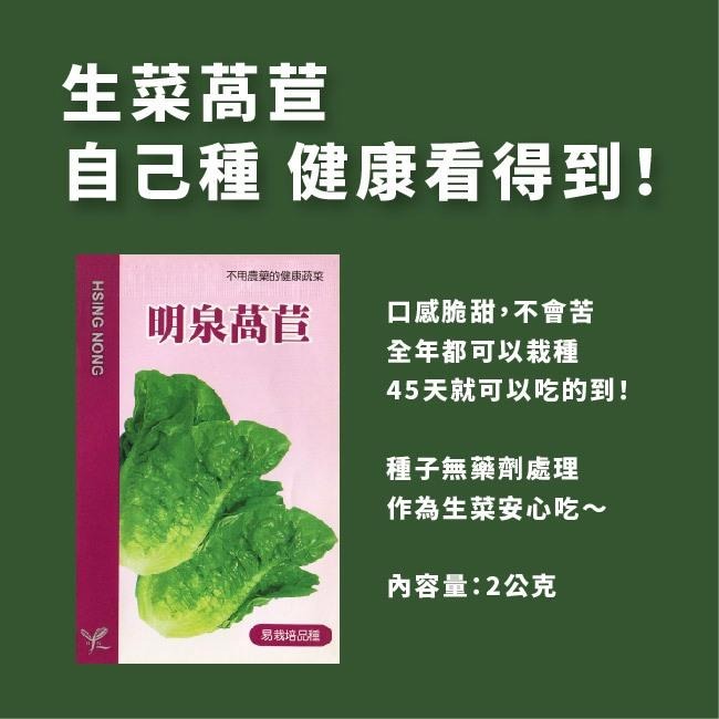 明泉萵苣種子｜韓國烤肉專用生菜｜45天可採收｜超簡單入門｜開心農場｜日常好菜｜居家種植｜蔬菜專業戶｜蔬菜種子-細節圖2