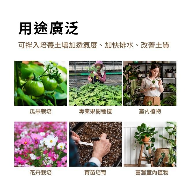 珍珠石｜1L  3L 10L｜栽種介質｜乾淨介質｜透水、透氣｜園藝資材｜專業育苗｜室內植物-細節圖3