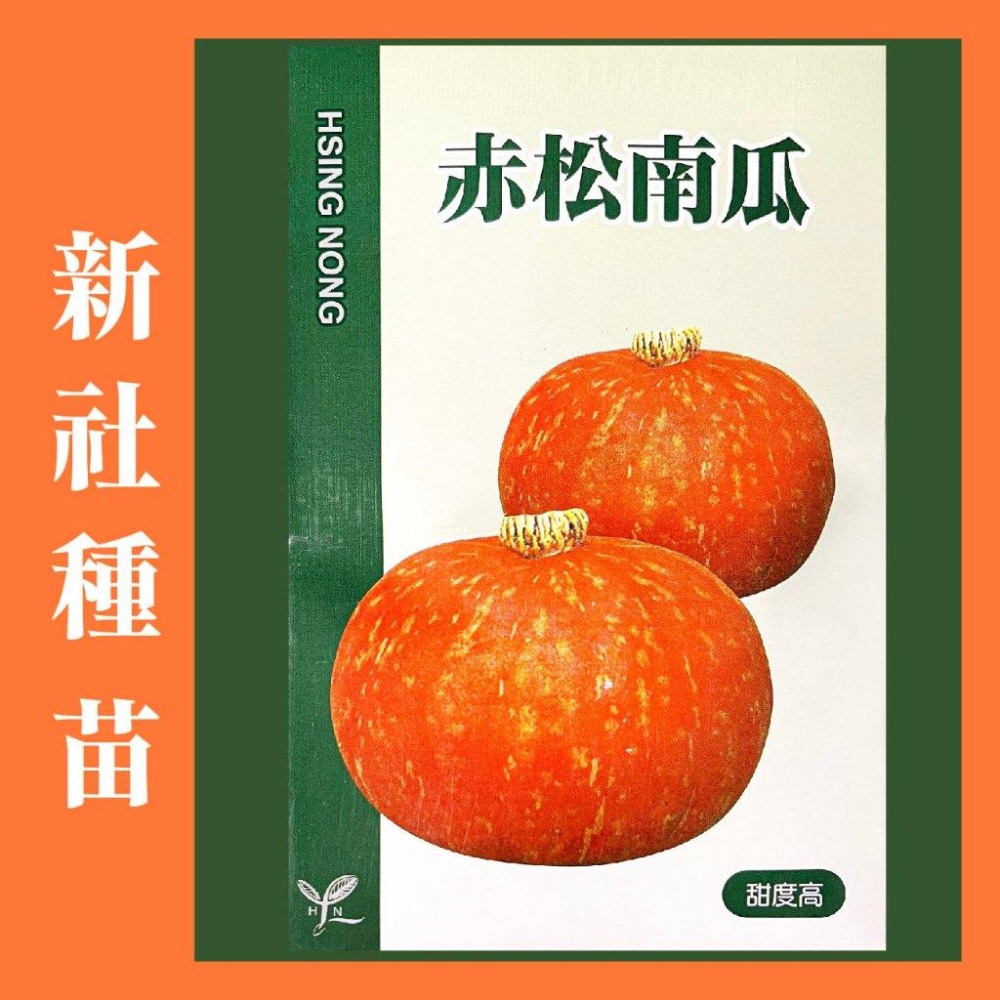 南瓜種子大全｜各式南瓜｜栗子南瓜｜南瓜｜木瓜型｜砂糖南瓜｜日本南瓜｜開心農場｜居家種植｜蔬菜專業戶｜蔬菜種子｜園藝 ｜-細節圖4