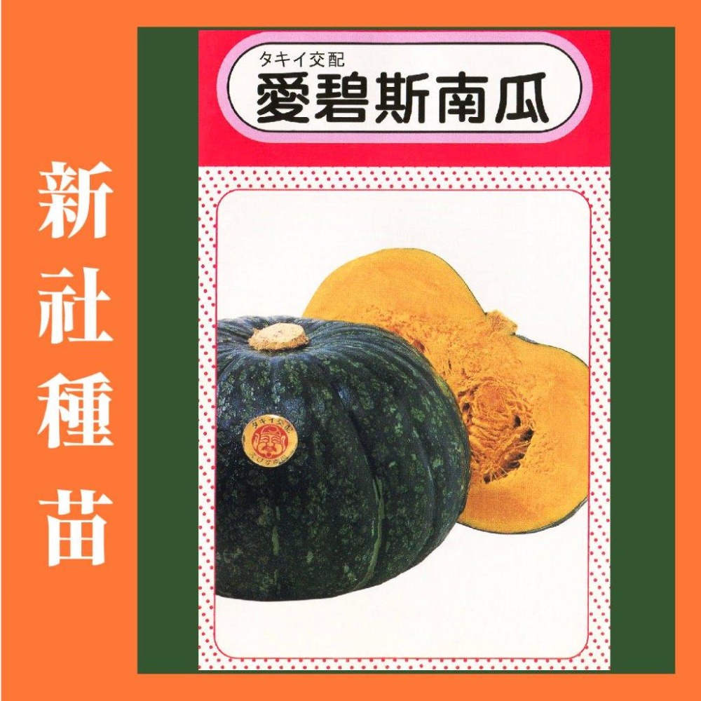 南瓜種子大全｜各式南瓜｜栗子南瓜｜南瓜｜木瓜型｜砂糖南瓜｜日本南瓜｜開心農場｜居家種植｜蔬菜專業戶｜蔬菜種子｜園藝 ｜-細節圖5