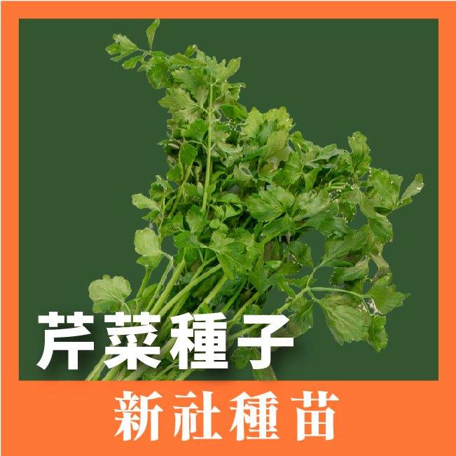 芹菜種子｜田尾種白骨芹菜｜開心農場｜蔬菜專業戶｜蔬菜種子｜園藝 ｜良好發芽率-細節圖2