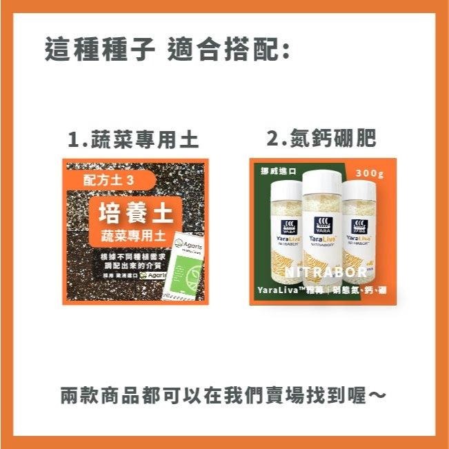 艾碧斯南瓜種子｜日本南瓜｜金瓜｜秋季～冬季～春季 | 開心農場｜居家種植｜蔬菜專業戶｜蔬菜種子｜園藝 ｜-細節圖6
