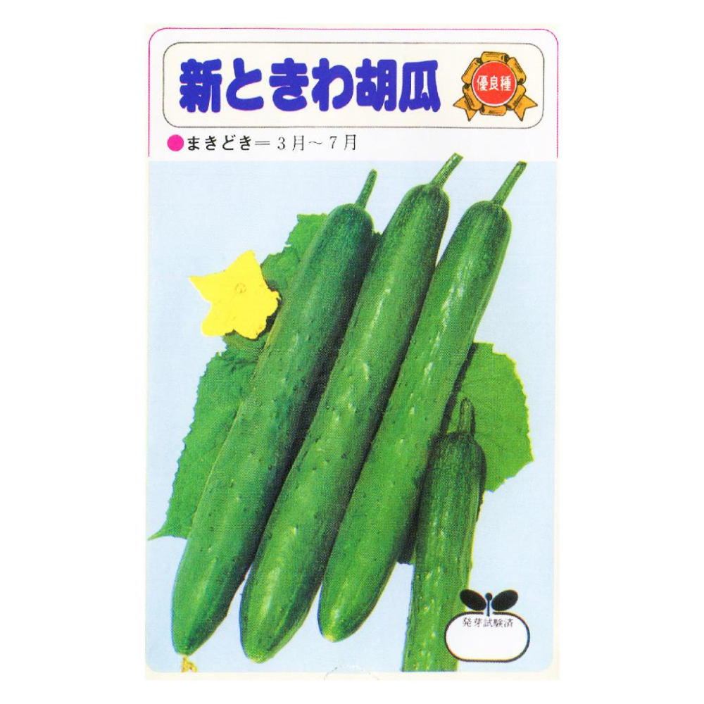 小黃瓜種子｜胡瓜｜2~9月適合｜新手友善｜簡單好種｜可持續結果一直採收一段時間｜蔬菜專業戶｜蔬菜種子｜園藝 ｜天台菜園-細節圖2