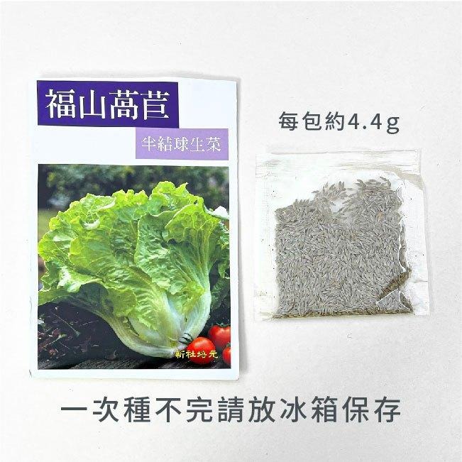 大陸妹種子｜45天可採收｜福山萵苣｜超簡單入門｜日常好菜｜居家種植｜蔬菜專業戶｜蔬菜種子｜園藝 ｜良好發芽率-細節圖3