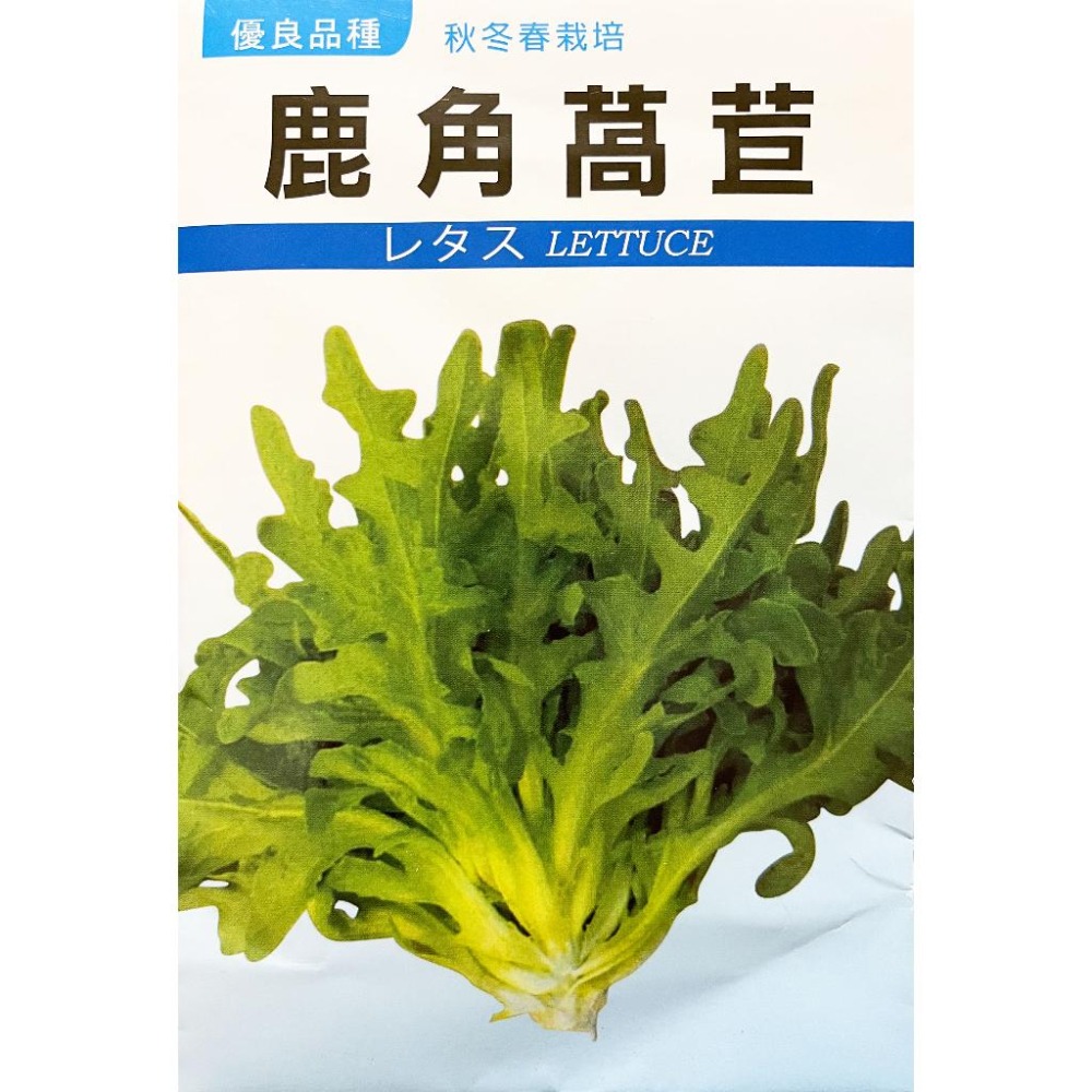 鹿角萵苣種子｜40天採收｜A菜｜簡單入門｜小規模種植｜日常好菜｜居家種植｜蔬菜專業戶｜蔬菜種子｜園藝 ｜超高發芽率-細節圖2