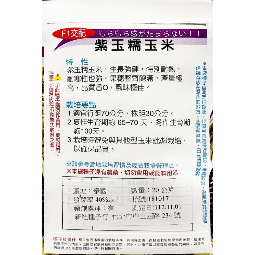 紫玉糯玉米種子｜糯玉米種子｜開心農場｜小農種植｜蔬菜專業戶｜蔬菜種子｜園藝 ｜高發芽率-細節圖3