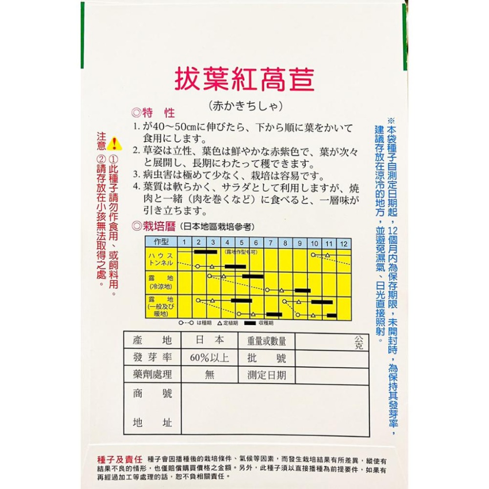 拔葉萵苣種子｜韓國烤肉專用生菜｜生菜包肉用｜拔葉生菜｜40天採收｜簡單入門｜小空間種植｜居家種植｜蔬菜種子｜園藝-細節圖4