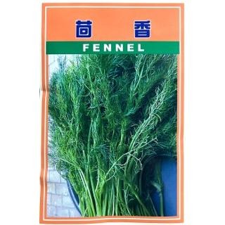 茴香種子｜居家種植｜蔬菜專業戶｜蔬菜種子｜都市小農｜休閒農業｜退休生活｜蔬菜種子｜園藝 ｜-細節圖2