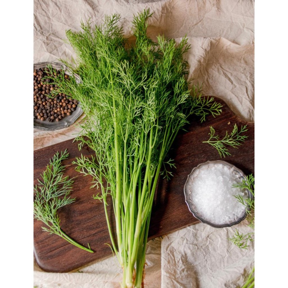 茴香種子｜居家種植｜蔬菜專業戶｜蔬菜種子｜都市小農｜休閒農業｜退休生活｜蔬菜種子｜園藝 ｜-細節圖4