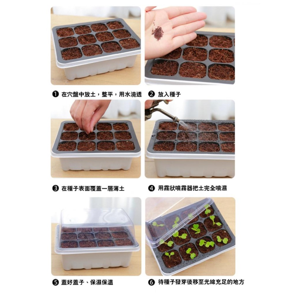 12穴附蓋育苗盆｜苗盤｜有蓋子好保濕｜水不外流｜簡單管理｜園藝資材｜蔬菜栽培｜｜花盆｜多肉｜育苗盒｜ 育苗盤-細節圖4