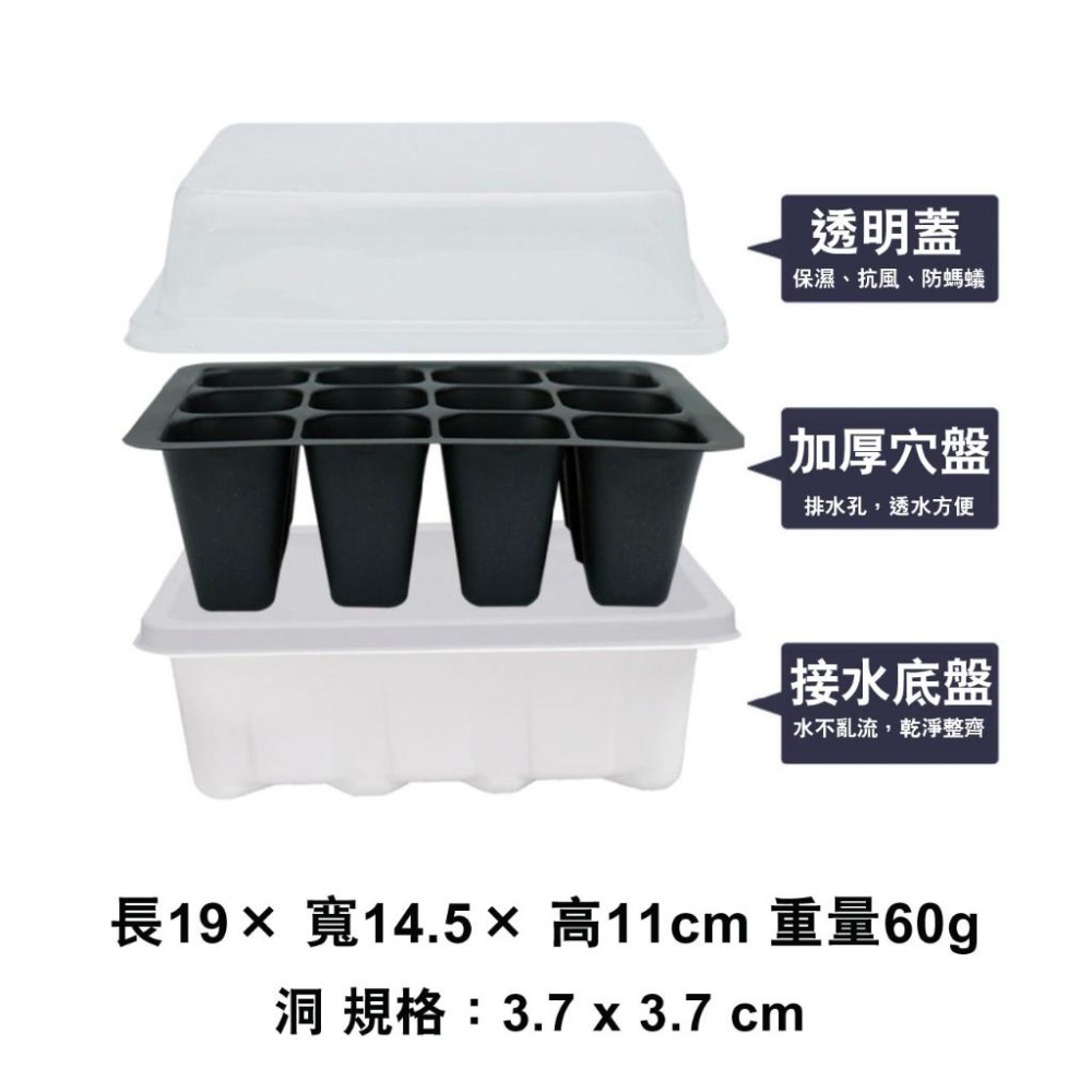 12穴附蓋育苗盆｜苗盤｜有蓋子好保濕｜水不外流｜簡單管理｜園藝資材｜蔬菜栽培｜｜花盆｜多肉｜育苗盒｜ 育苗盤-細節圖5