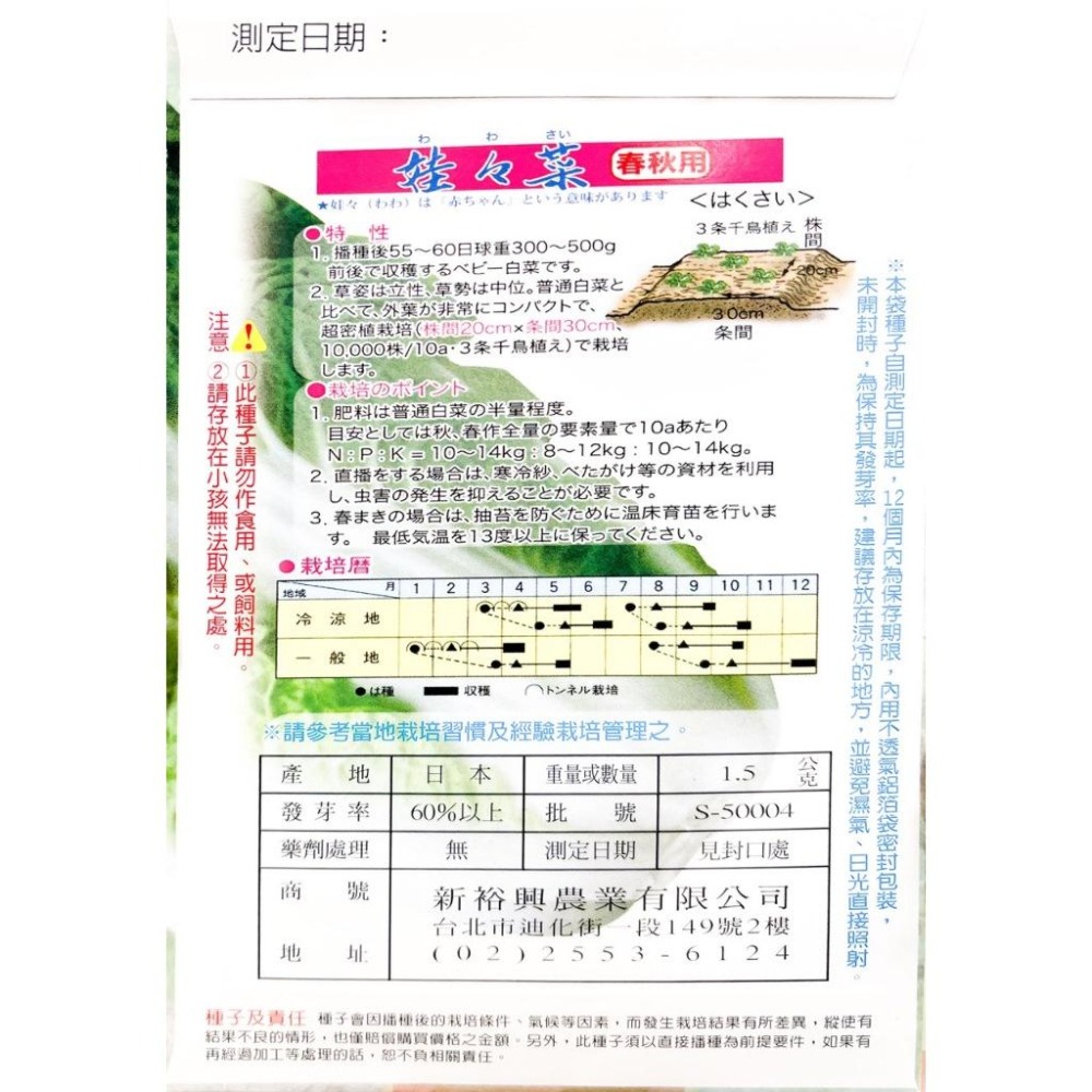 娃娃菜種子｜東京娃娃菜種子｜50~60日可採｜秋冬種植｜專業戶｜蔬菜種子｜園藝 ｜超高發芽率｜小規模種植｜開心農場｜-細節圖3