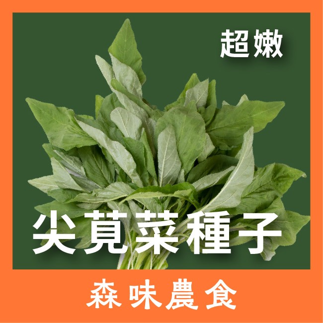 尖葉莧菜種子｜莧菜種子｜超嫩｜開心農場｜新手入門款｜居家種植｜都市農耕｜蔬菜專業戶｜蔬菜種子｜園藝 ｜蔬菜種子-細節圖2
