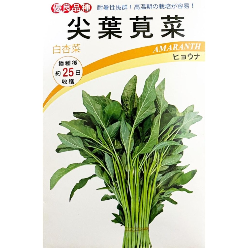 尖葉莧菜種子｜莧菜種子｜超嫩｜開心農場｜新手入門款｜居家種植｜都市農耕｜蔬菜專業戶｜蔬菜種子｜園藝 ｜-細節圖2