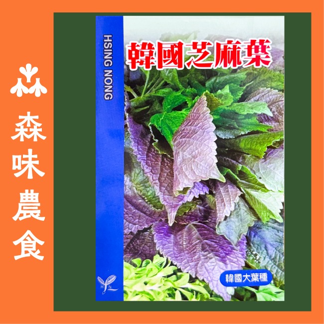 韓國芝麻葉種子｜適合韓式燒烤包肉、涼拌、煎餅｜營養蔬菜｜居家種植｜蔬菜專業戶｜蔬菜種子｜園藝 ｜超好發芽率｜開心農場-細節圖2