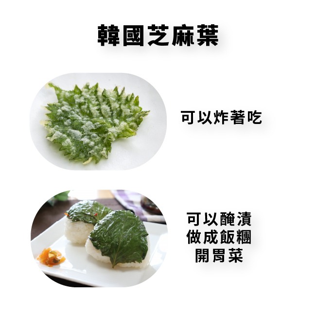 韓國芝麻葉種子｜適合韓式燒烤包肉、涼拌、煎餅｜營養蔬菜｜居家種植｜蔬菜專業戶｜蔬菜種子｜園藝 ｜超好發芽率｜開心農場-細節圖3