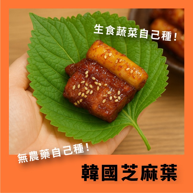韓國芝麻葉種子｜適合韓式燒烤包肉、涼拌、煎餅｜營養蔬菜｜居家種植｜蔬菜專業戶｜蔬菜種子｜園藝 ｜超好發芽率｜開心農場-細節圖4