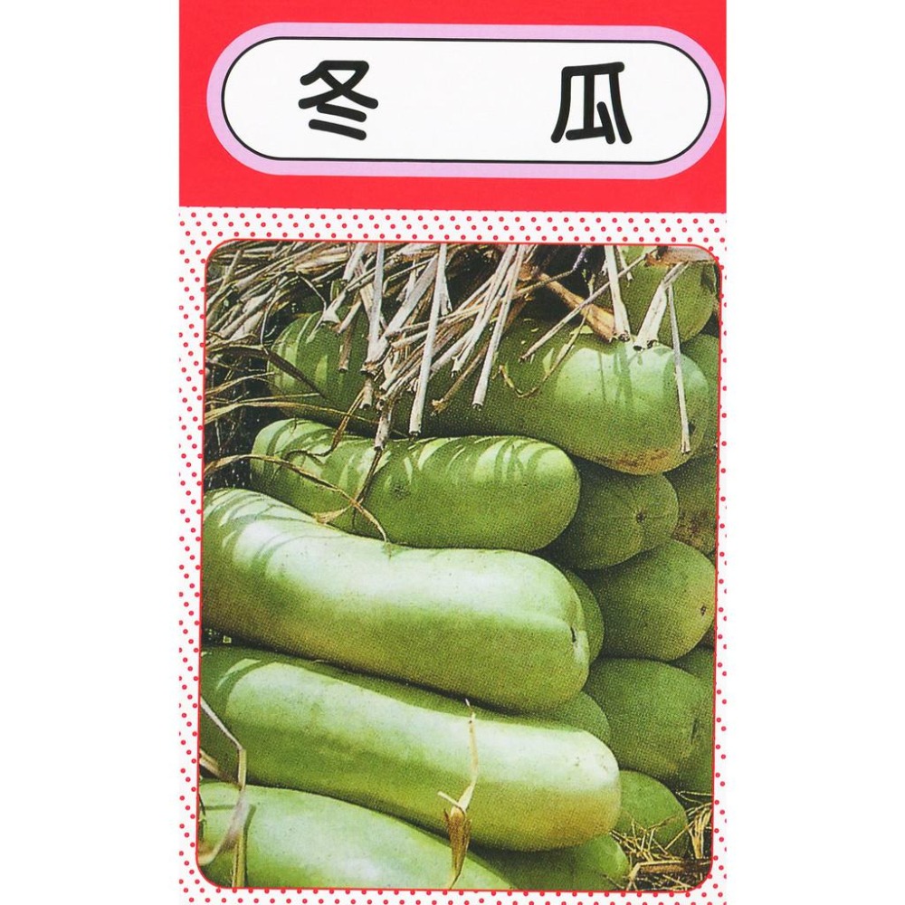 冬瓜種子｜大冬瓜種子｜開心農場｜專業種植｜日常好菜｜蔬菜專業戶｜蔬菜種子｜園藝 ｜-細節圖2