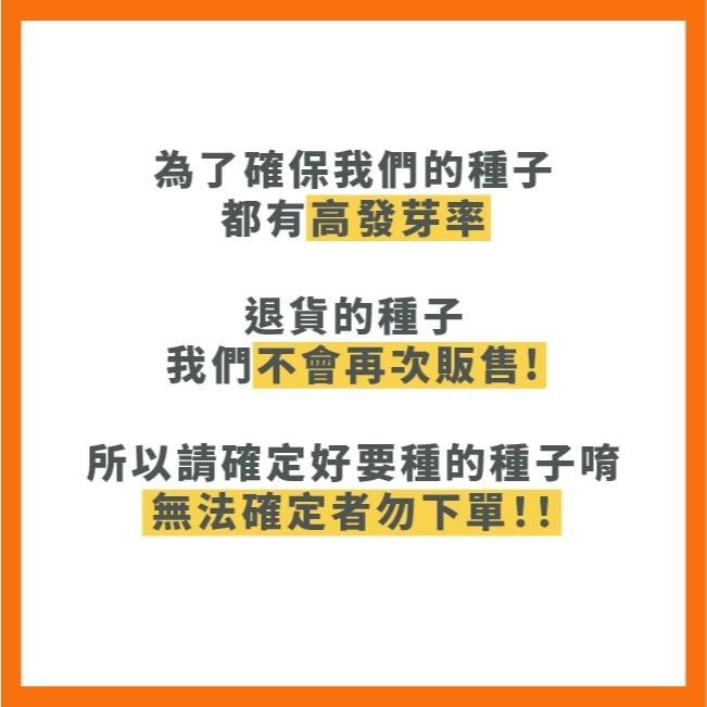 夏之味青江菜種子｜四分之一磅大包青江菜｜專業種植｜一代交配｜專業大包裝｜專業種植｜育苗賣菜｜青梗白菜｜專作戶｜蔬菜種子｜-細節圖6