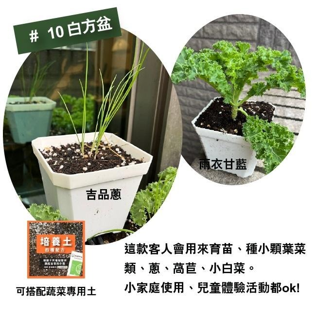 方形園藝盆｜🔥20個送底盆🔥｜黑盆｜塑膠盆｜園藝資材｜蔬菜栽培｜盆栽｜花盆｜多肉｜育苗盒｜觀葉植物｜育苗盤-細節圖4