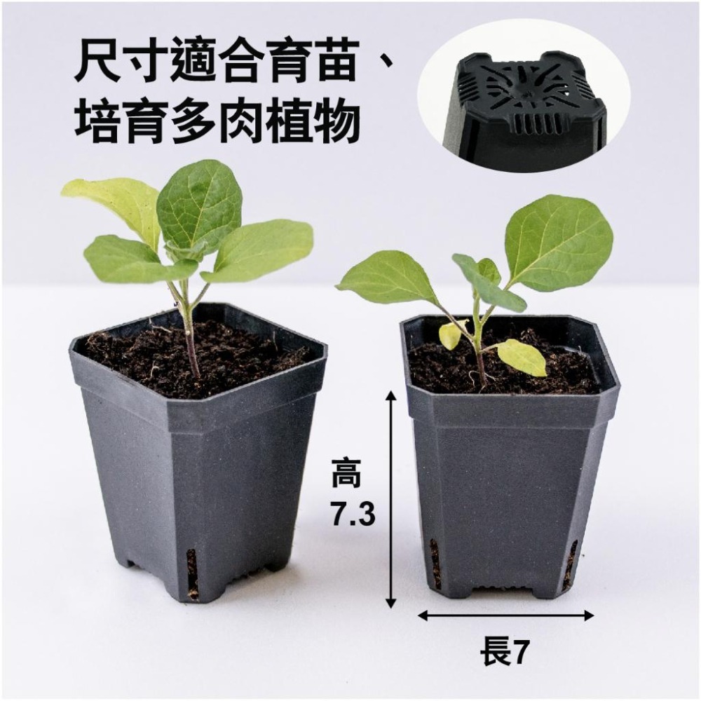 方形園藝盆｜🔥20個送底盆🔥｜黑盆｜塑膠盆｜園藝資材｜蔬菜栽培｜盆栽｜花盆｜多肉｜育苗盒｜觀葉植物｜育苗盤-細節圖7