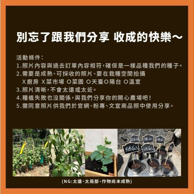 方形園藝盆｜🔥20個送底盆🔥｜黑盆｜塑膠盆｜園藝資材｜蔬菜栽培｜盆栽｜花盆｜多肉｜育苗盒｜觀葉植物｜育苗盤-細節圖9