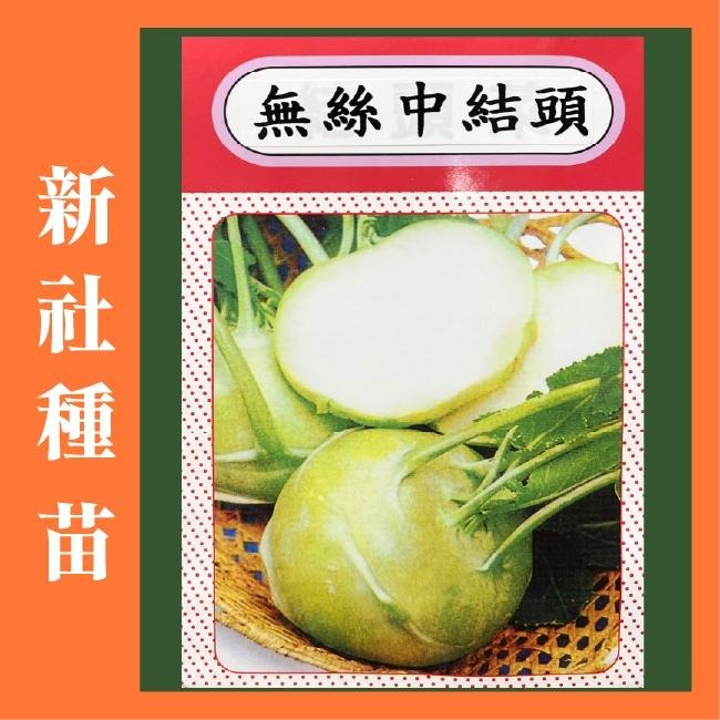 結頭菜種子｜中結頭｜大結頭｜70天採收｜秋冬栽種｜開心農場｜居家種植｜蔬菜專業戶｜蔬菜種子｜園藝 ｜超高發芽率｜-細節圖2