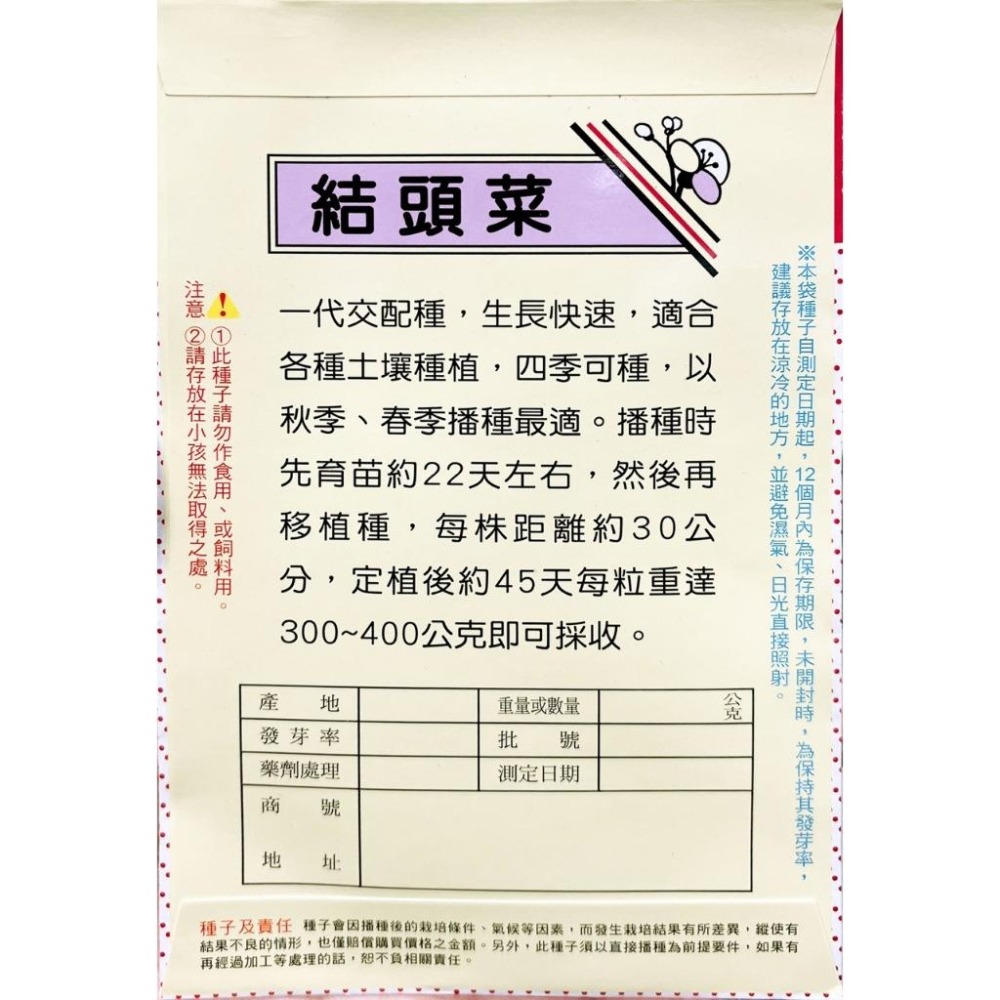結頭菜種子｜中結頭｜大結頭｜70天採收｜秋冬栽種｜開心農場｜居家種植｜蔬菜專業戶｜蔬菜種子｜園藝 ｜超高發芽率｜-細節圖4