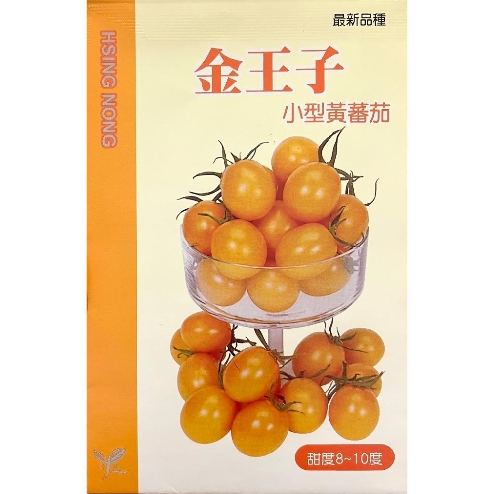 黃色小番茄種子｜金王子番茄｜種子｜開心農場｜居家種植｜蔬菜專業戶｜蔬菜種子｜都市農耕｜園藝 ｜好種品種｜新手友善-細節圖2