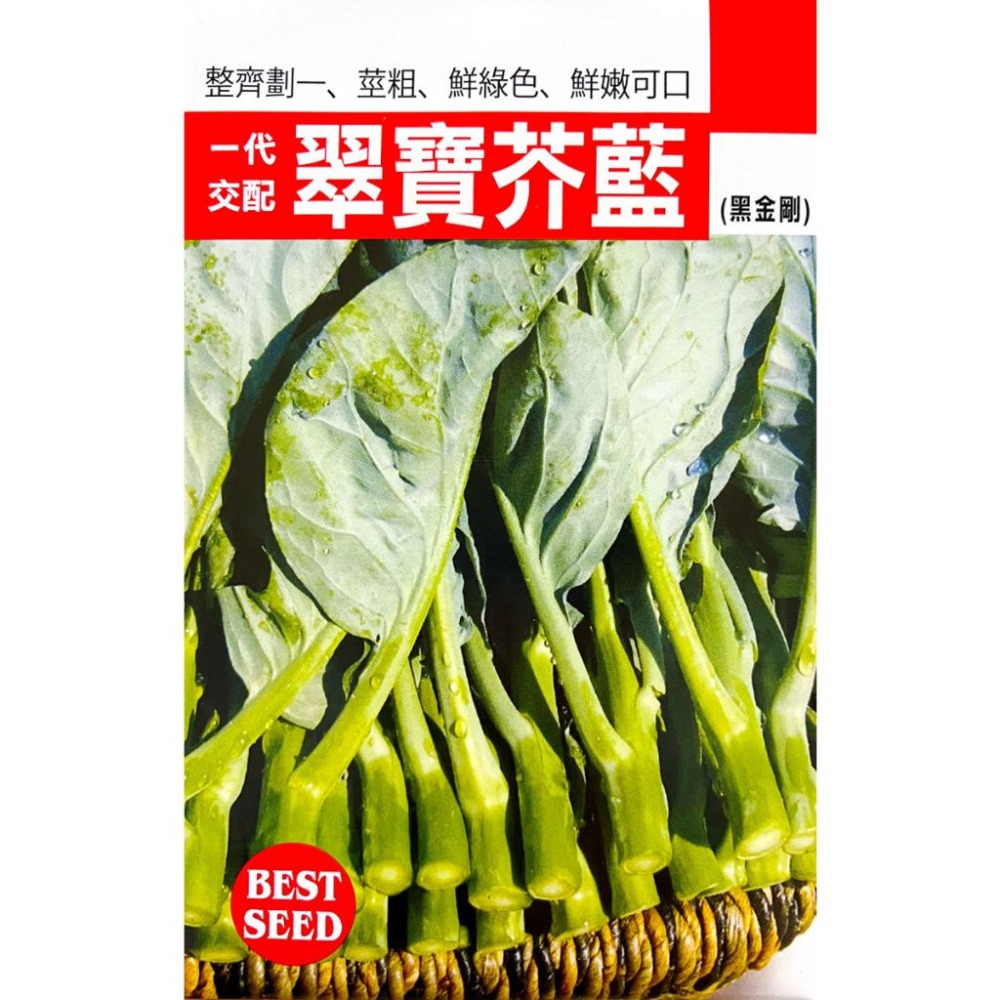 翠寶芥藍種子｜全年皆可種植｜蠔油芥蘭用｜港式茶餐廳名菜｜蔬菜專業戶｜蔬菜種子｜園藝 ｜都市農耕｜開心農場-細節圖2