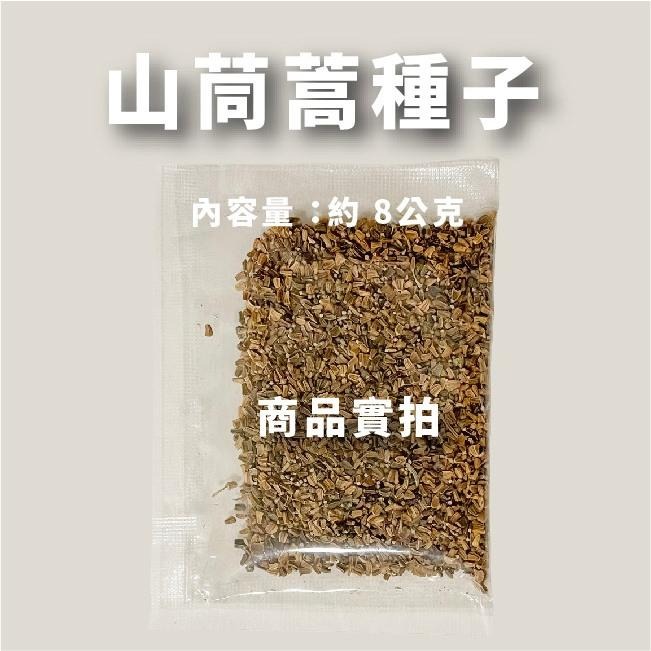 山茼蒿種子 | 日本茼蒿 | 中葉春菊｜開心農場｜新手入門款｜居家種植｜都市農耕｜蔬菜專業戶｜火鍋必備｜自己種更健康-細節圖4