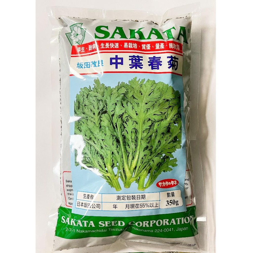 山茼蒿種子 | 日本茼蒿 | 中葉春菊｜開心農場｜新手入門款｜居家種植｜都市農耕｜蔬菜專業戶｜火鍋必備｜自己種更健康-細節圖5