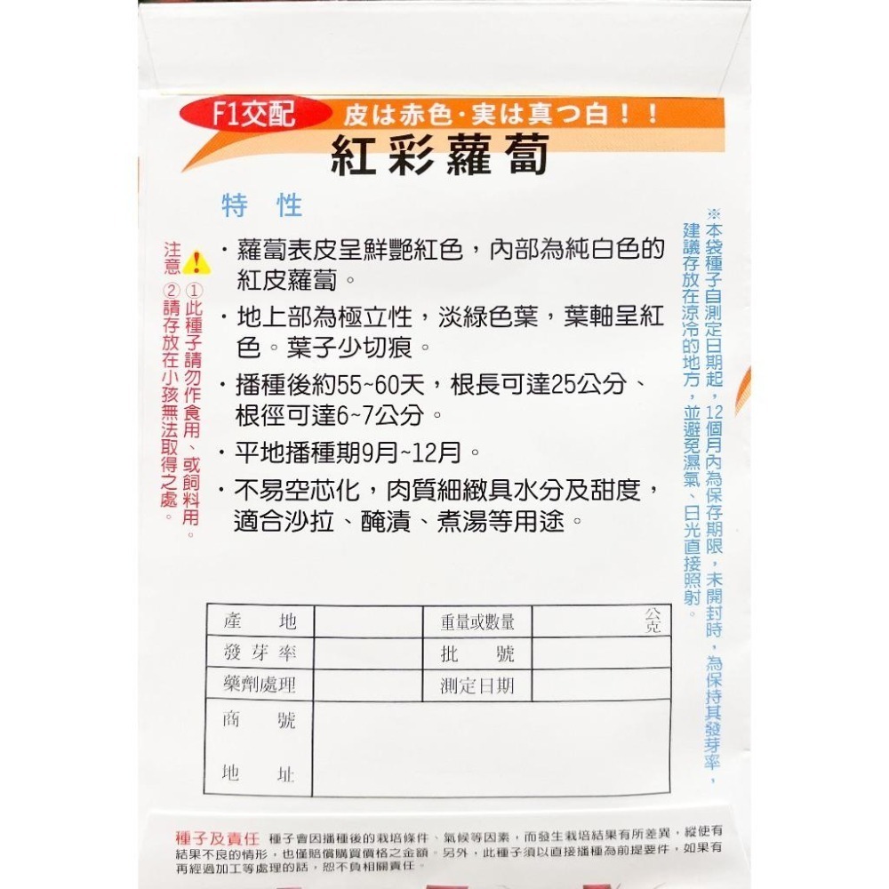 紅彩蘿蔔種子｜蘿蔔種子｜紅皮蘿蔔｜專業種植｜專業種植｜育苗賣菜｜青梗白菜｜專作戶｜蔬菜種子-細節圖3