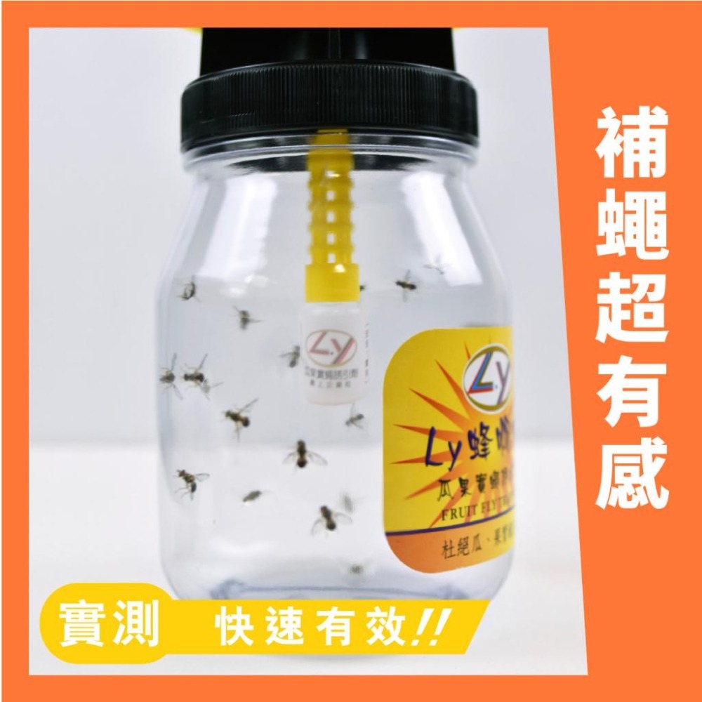🪰 誘捕神器「蜂啊灯」專除海量果蠅｜環保 無毒安全｜捕果蠅｜防果蠅｜果蠅誘捕｜果蠅剋星｜果蠅捕捉器｜甲級丁香油-細節圖3