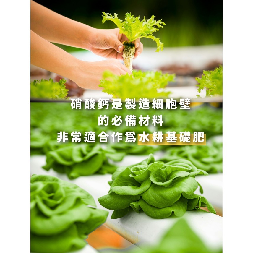 水耕專用肥｜AB肥｜水耕肥｜水溶性肥料｜DIY水耕｜專業水耕｜可以用到2噸水的量｜專業使用｜我在陽台種菜｜室內栽培-細節圖5