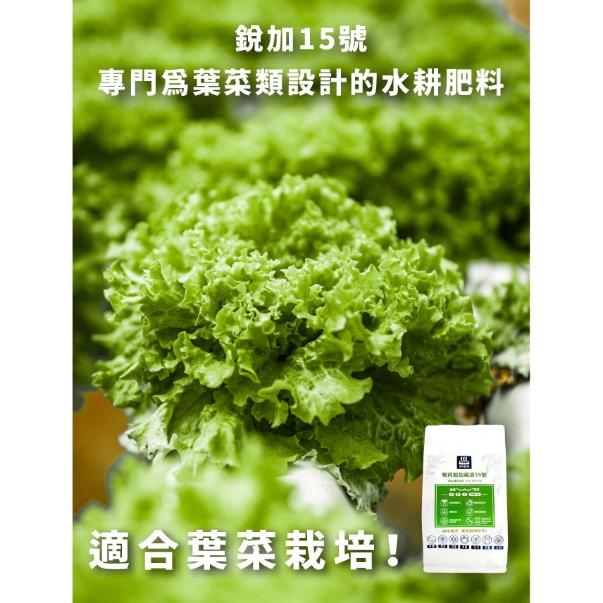 水耕專用肥｜AB肥｜水耕肥｜水溶性肥料｜DIY水耕｜專業水耕｜可以用到2噸水的量｜專業使用｜我在陽台種菜｜室內栽培-細節圖7