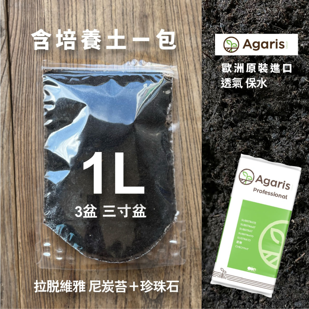 貓草組合盒｜一次三杯的份量｜7天採收｜貓草種子｜貓咪零食｜小麥草種子｜貓草種子｜化毛｜一週可食用｜多次採收｜健康好纖維-細節圖5