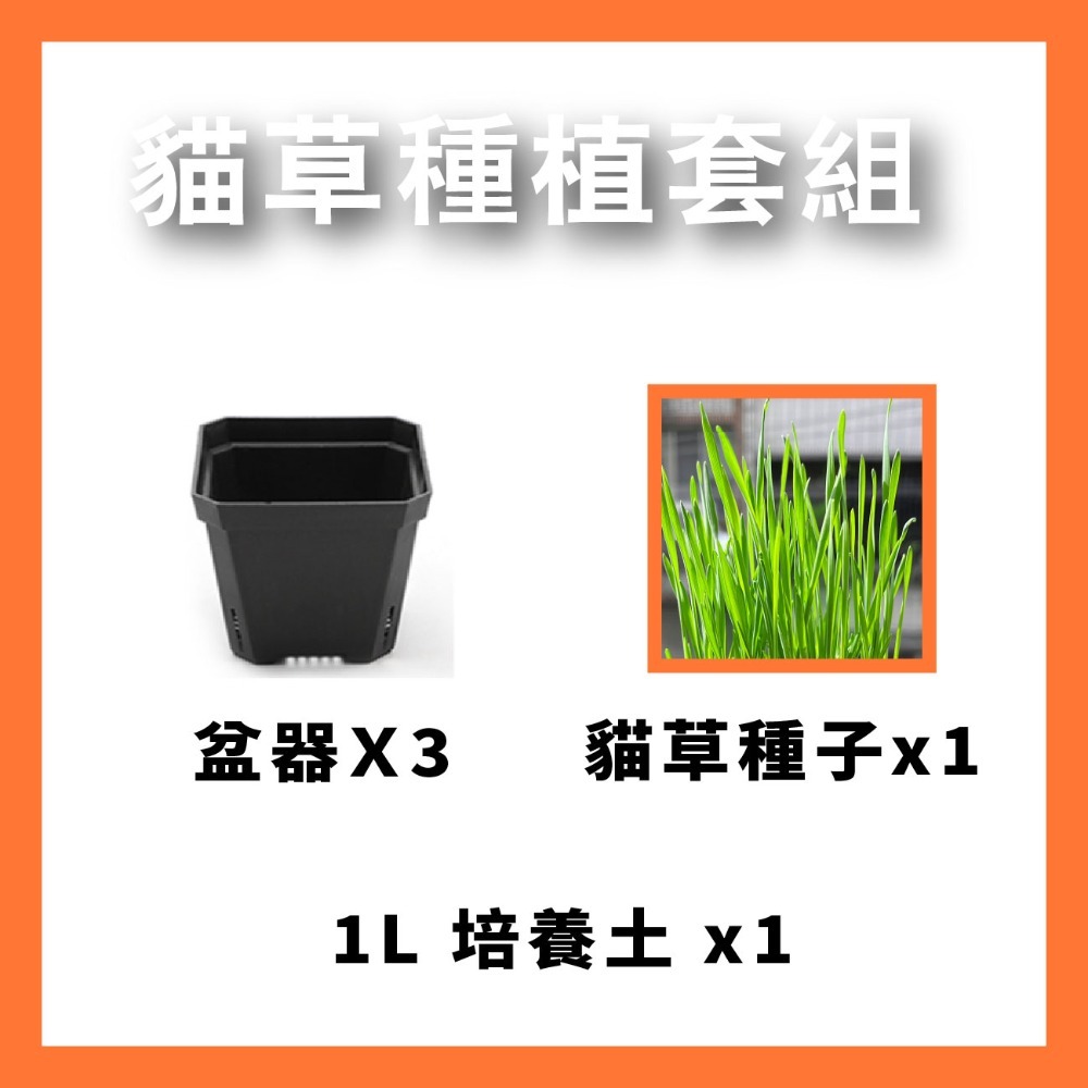 一組