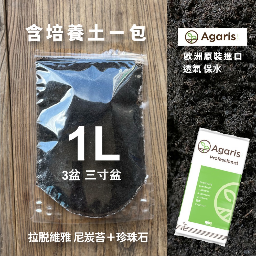 貓草組合盒｜一次三杯的份量｜7天採收｜貓草種子｜貓咪零食｜小麥草種子｜貓草種子｜化毛｜一週可食用｜多次採收｜健康好纖維-規格圖11